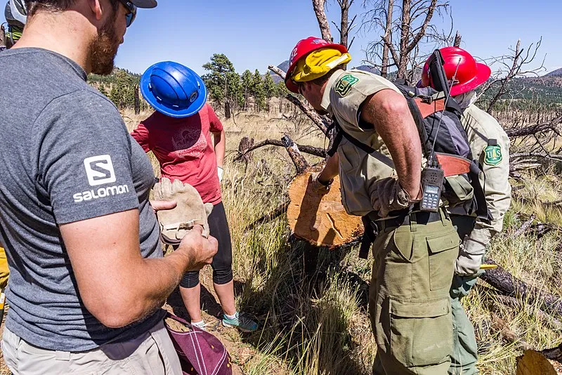 Brandis Trail, Coconino