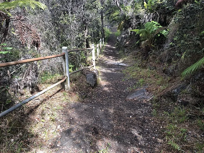 Research Center Road Trail, Hawaiʻi Volcanoes NP