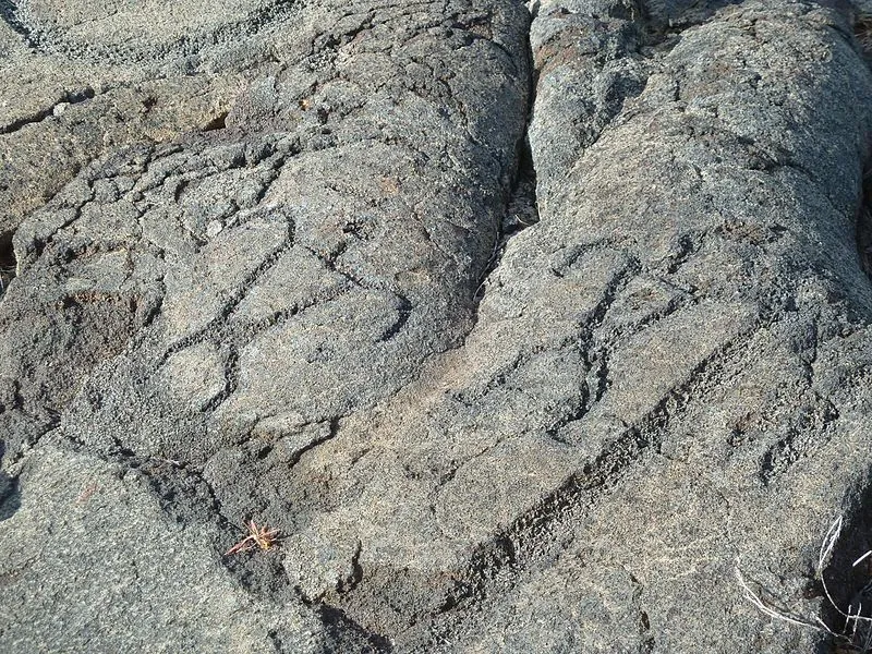 Pu'u Loa Petroglyphs Trail, Hawaiʻi Volcanoes NP