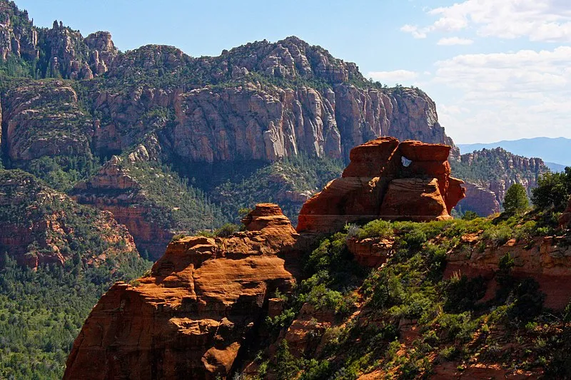 Cowpies Trail, Coconino