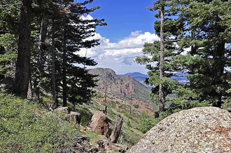 Down Under Trail, Coconino