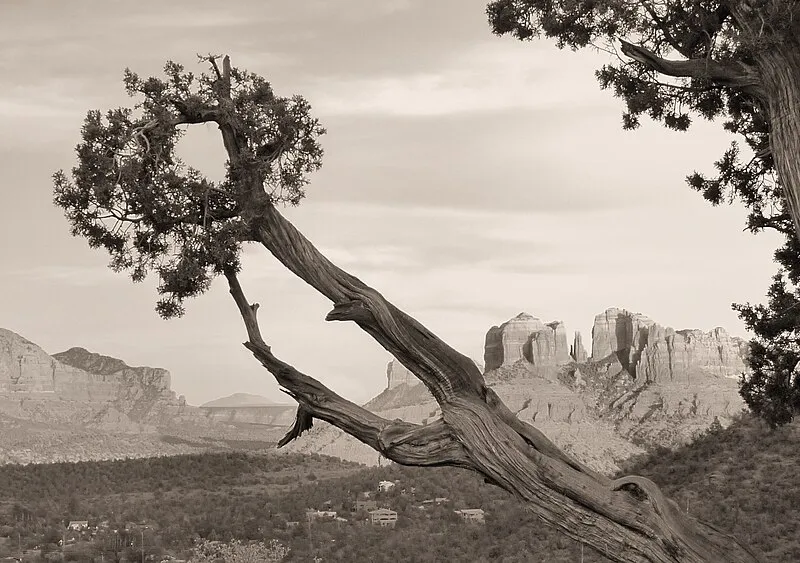 Elmerville Spur a Trail, Yavapai