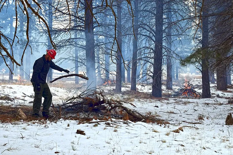 Flagstaff Loop - Segment 27-34, Coconino