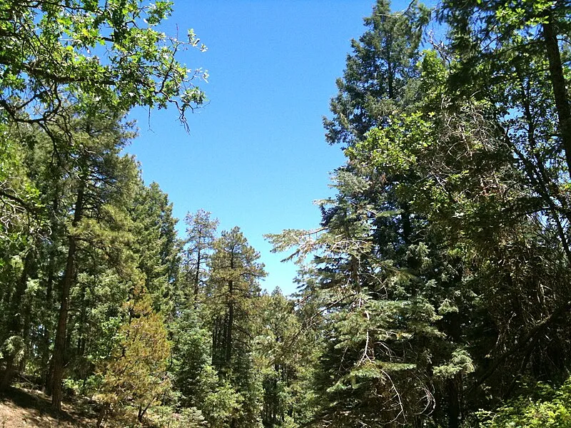 Groom Creek Loop, Yavapai