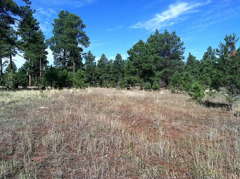 Howard Spur Trail, Coconino