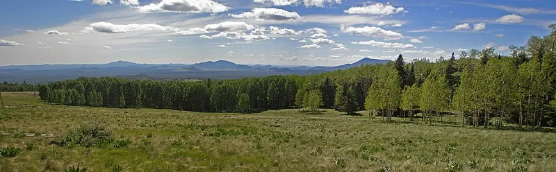 Humphreys Spur Trail, Coconino
