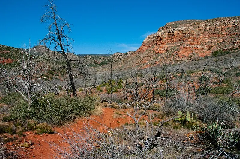 Jacks Canyon Trail, Coconino