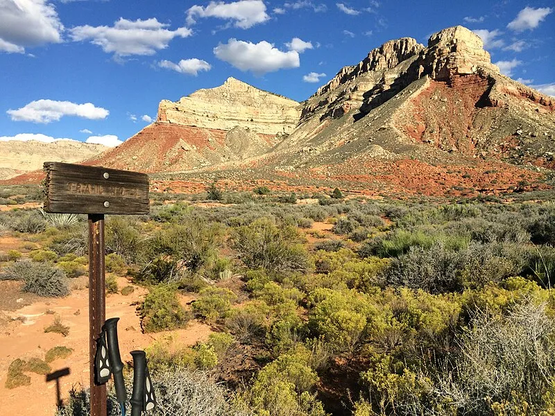 Jumpup/nail Trail, Coconino