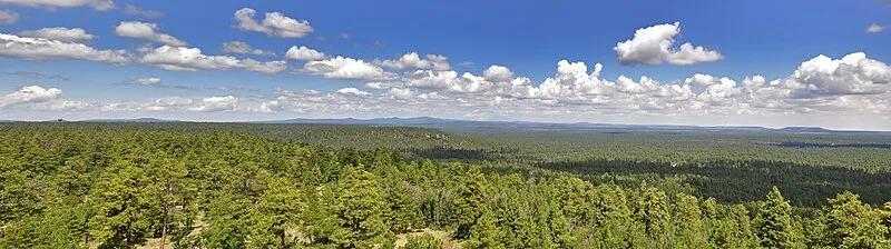 Kinder Crossing Trail, Coconino