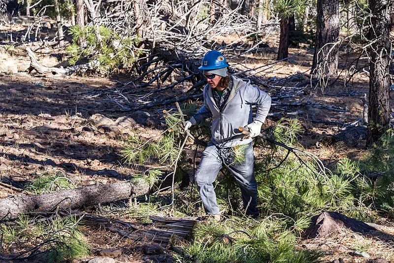 Lakeview Trail, Coconino