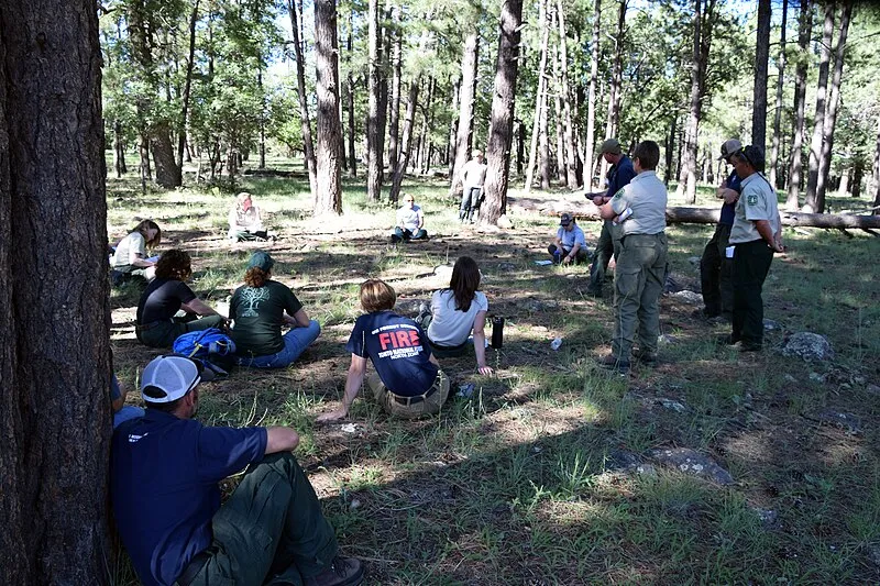Pinewood Trailhead, Coconino