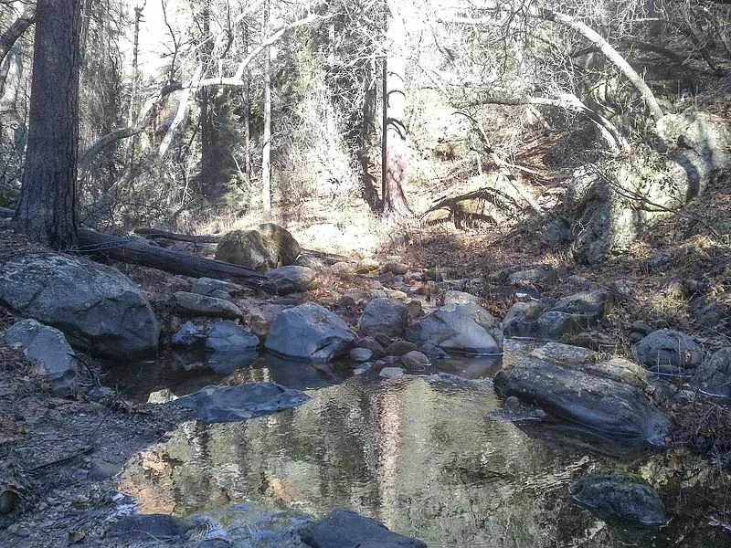 Little Round Mountain Spur a Trail, Yavapai