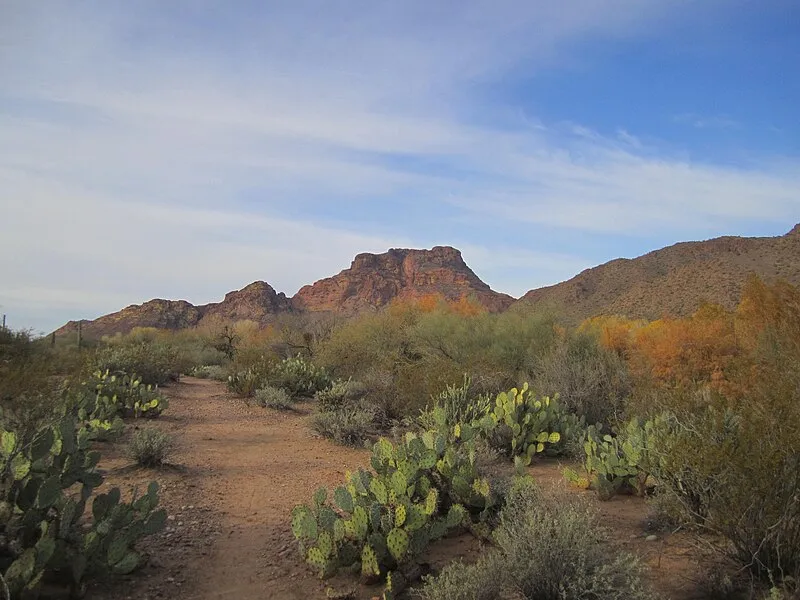 Lower Salt River Interpretive Trail, Maricopa
