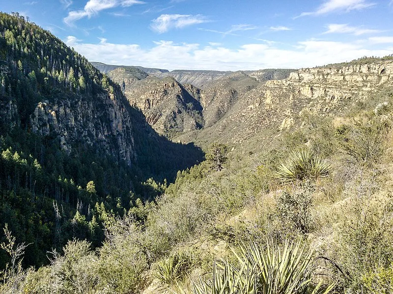 Loy Canyon Trail, Coconino