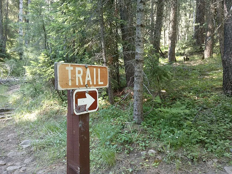 Mogollon Rim Snowmobile B Trail, Coconino