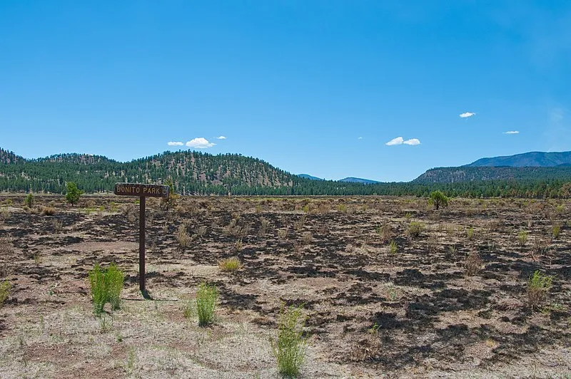 Old Caves Crater (north) Trailhead, Coconino