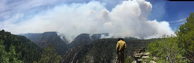 Scott Springs Trail, Coconino
