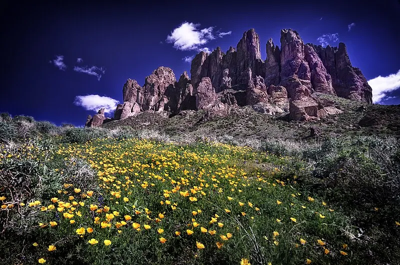 Siphon Draw Trail, Pinal