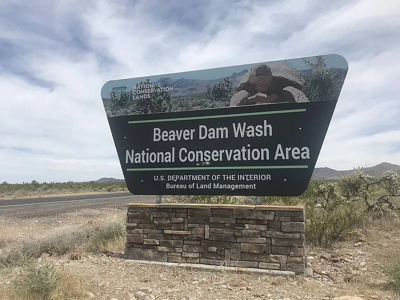 Beaver Dam Wash Designated Dispersed Camping Area, Washington