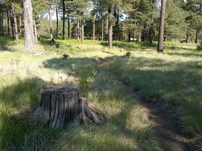 Boulder Hop Trail, Coconino