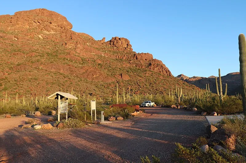 Alamo Canyon Campground, Organ Pipe Cactus NM