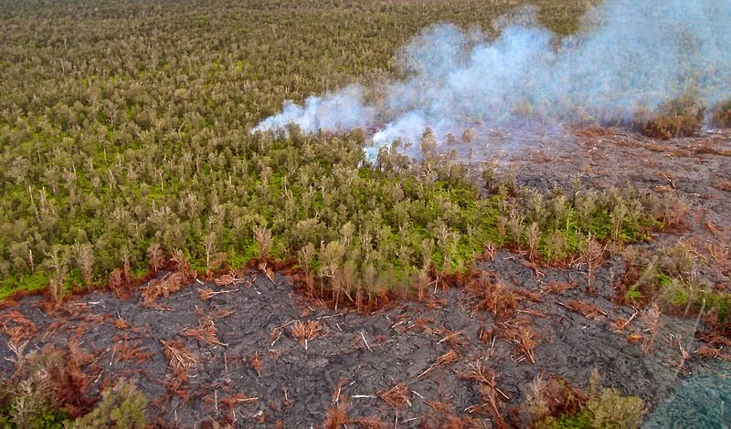 Kulanaokuaiki Campground, Hawaiʻi Volcanoes NP