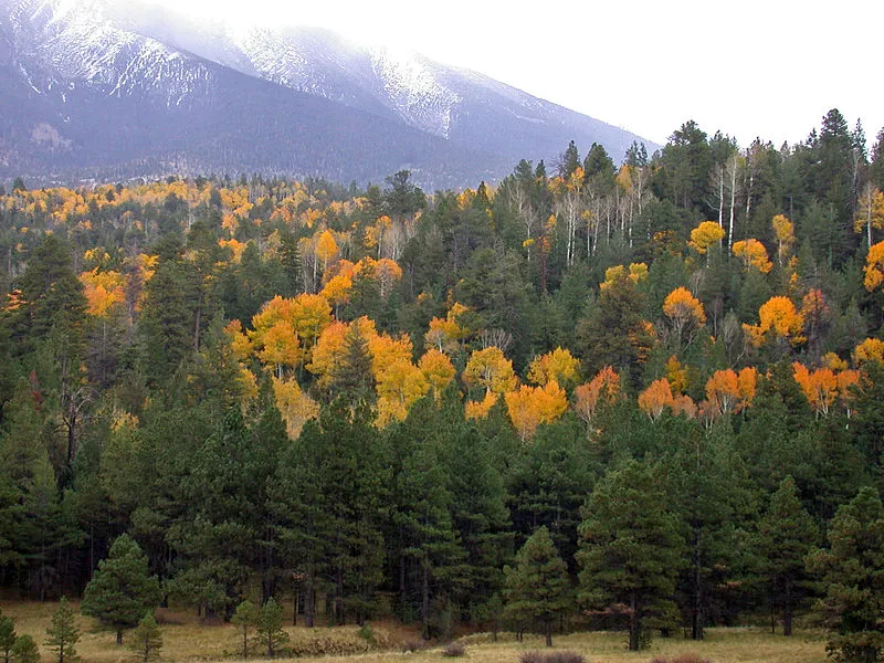 Little Elden Springs Horsecamp, Coconino