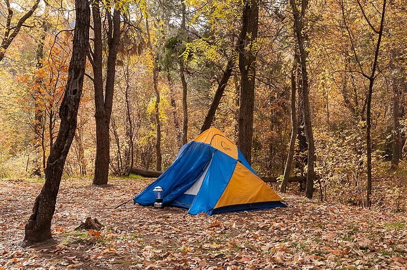 Pine Flat Campground West #2 (N, 0mi), Coconino