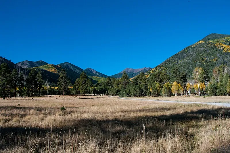Lockett Meadow Campground, Coconino