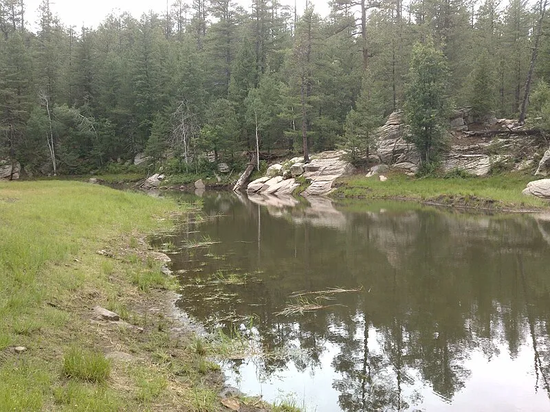 Knoll Lake Campground #2 (SW, 0mi), Coconino