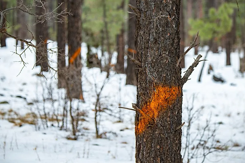 Scott Reservoir, Navajo
