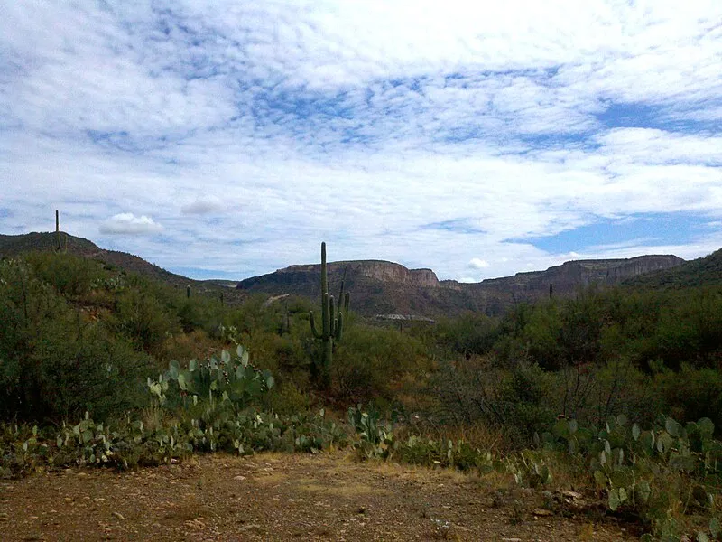 Brandenburg Campground, Pinal