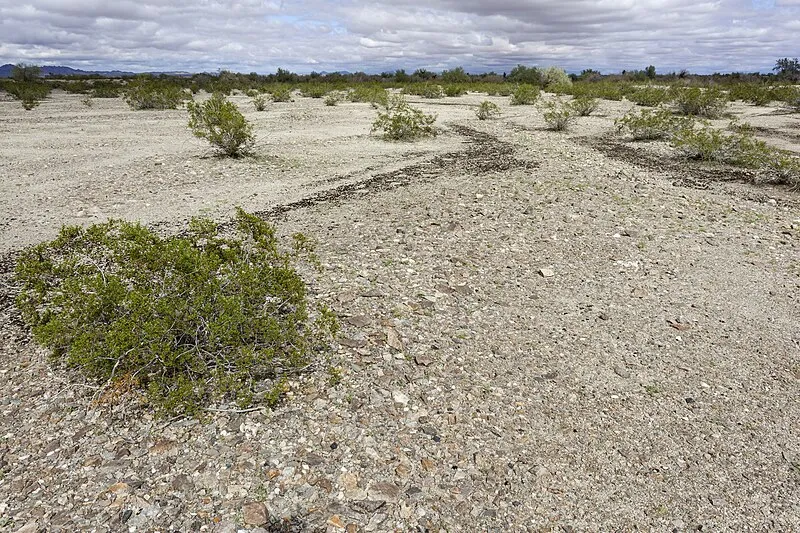 La Posa Ltva Tyson Wash Campground, La Paz