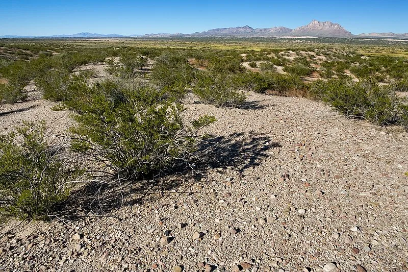 Hot Well Dunes Campground, Graham