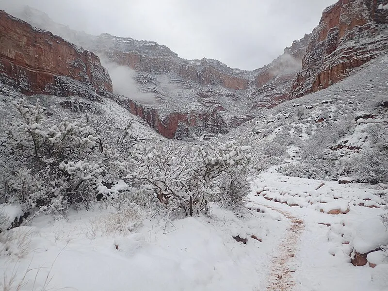 Indian Garden Campground, Coconino