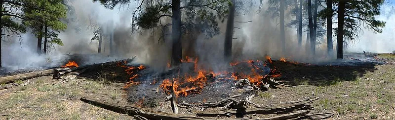 Ten-x Group Cg Campground (NW, 2mi), Coconino
