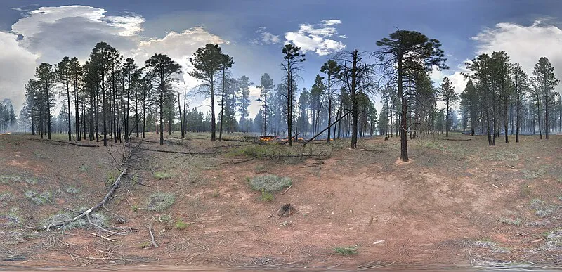 Ten-x Group Cg Campground (SE, 2mi), Coconino