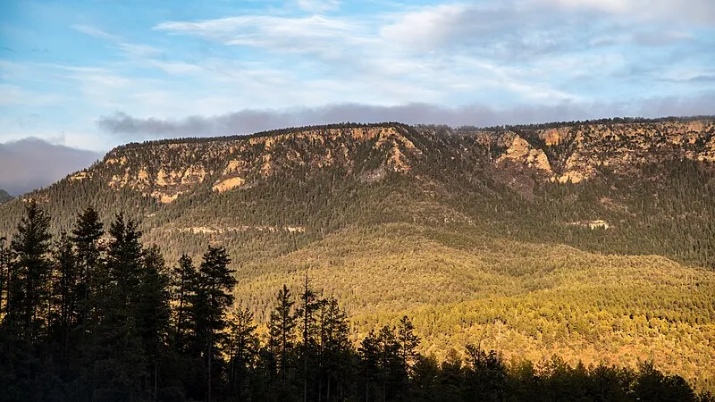Ponderosa Group Campground (W, 1mi), Gila