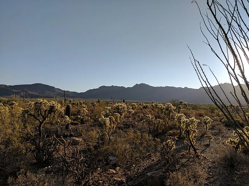 Gilbert Ray Campground, Pima