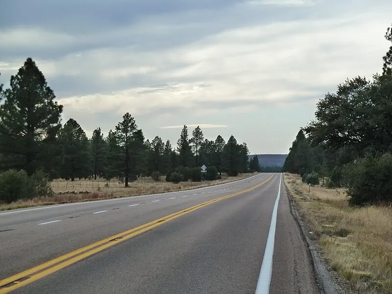 Chihuahua Pine Connector, Navajo