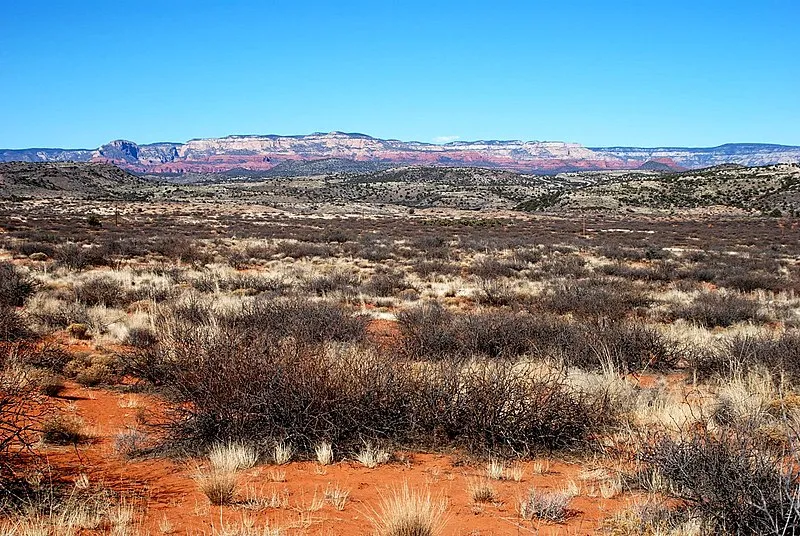 Dad Jones Tank, Yavapai