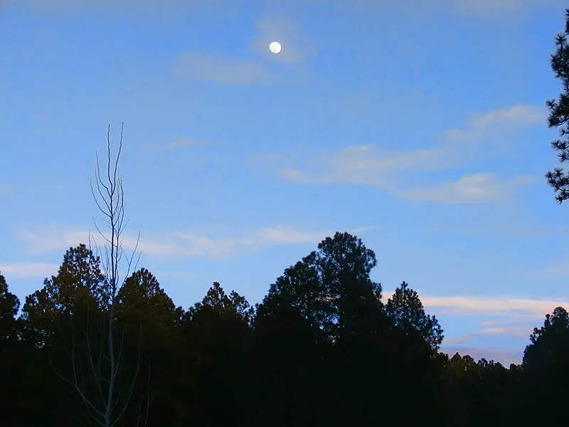 Springs Trailhead, Navajo