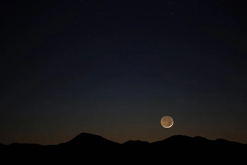 Buenos Aires National Wildlife Refuge (E, 9mi), Pima