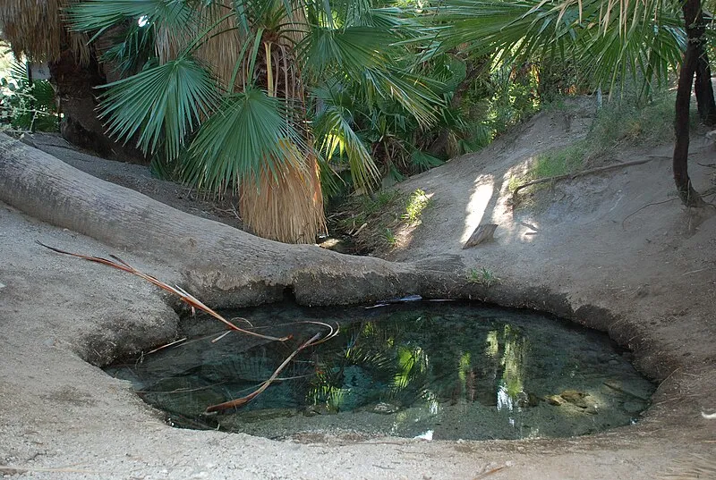 Agua Caliente Hot Spring, Pima