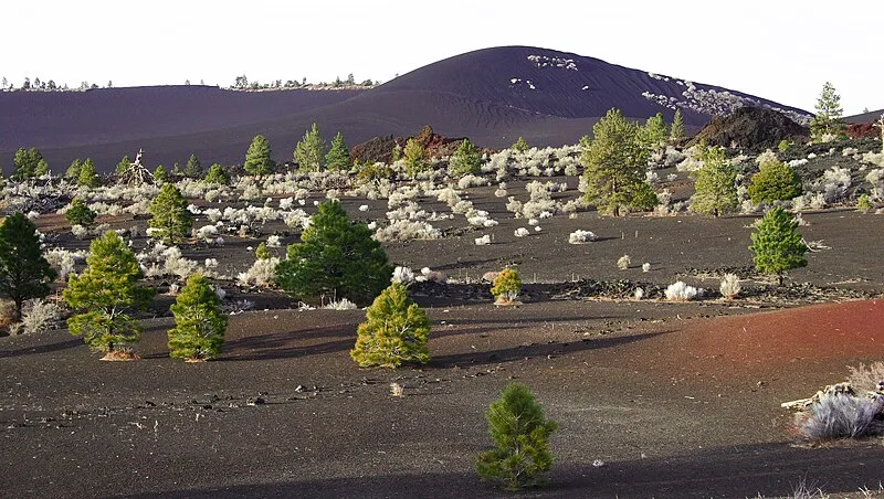 Painted Desert Vista #2 (N, 0mi), Sunset Crater Volcano NM