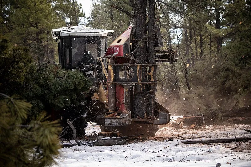 Pitman Valley Rt 66 Interp, Coconino
