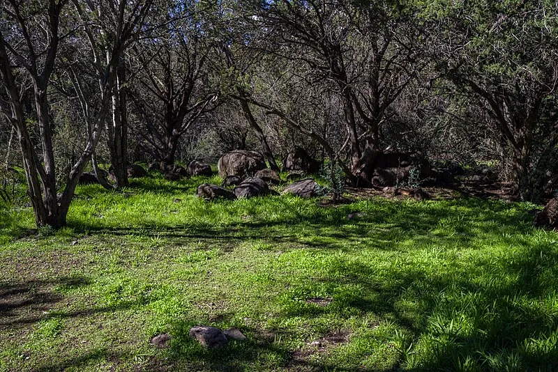 Homestead Upper, Yavapai
