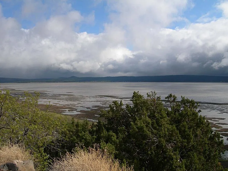 Mormon Lake Overlook (north), Coconino