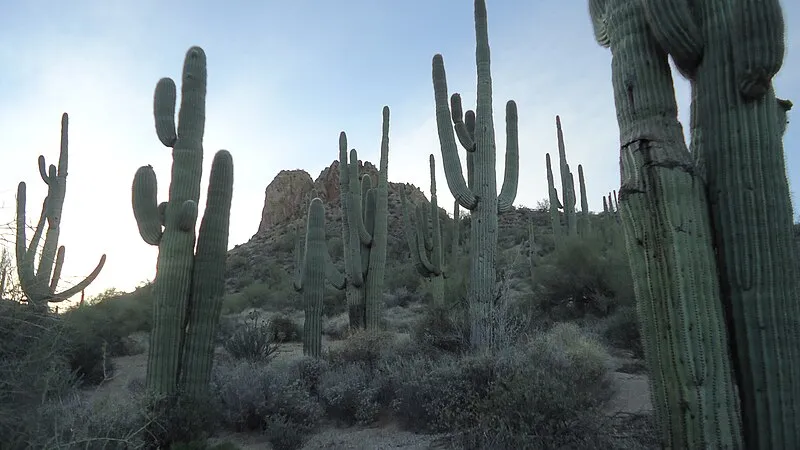Devils Hole, Maricopa