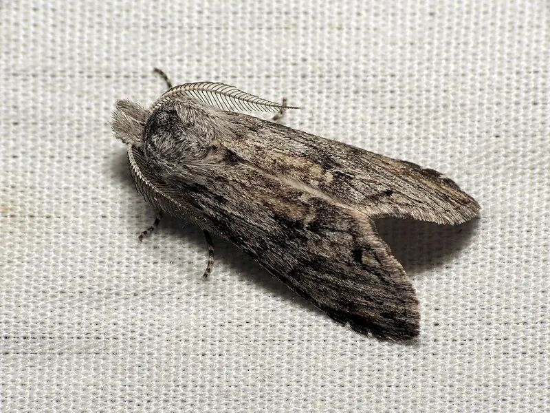 Madera Nature Trail, Santa Cruz